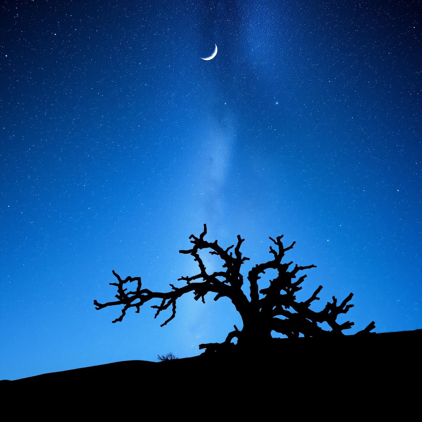 Bristlecone Pine Silhouette Under Milky Way: High-Altitude Awe in 8K | Unfold Lens