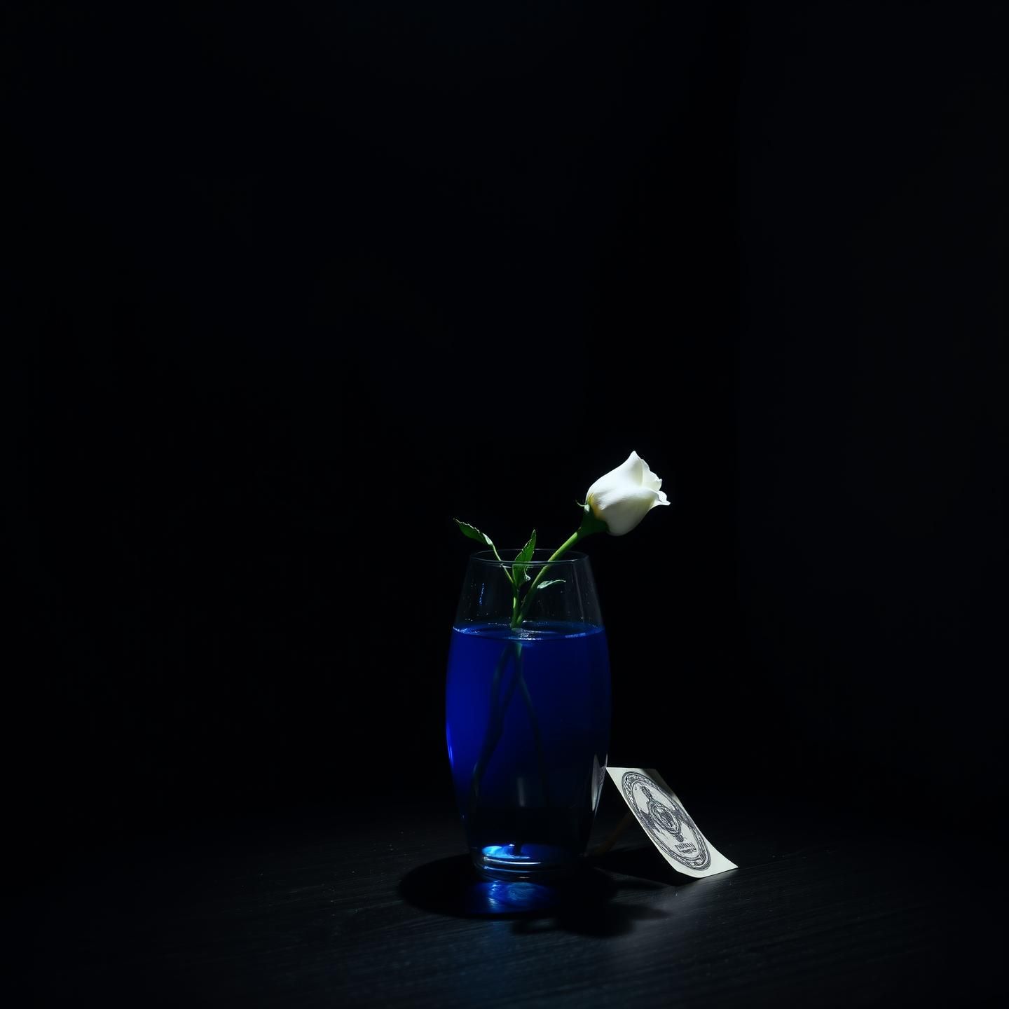 Ciaran Blue Rose Still Life: Moody Elegance in Silver Vase, 8K Resolution
 | Unfold Lens