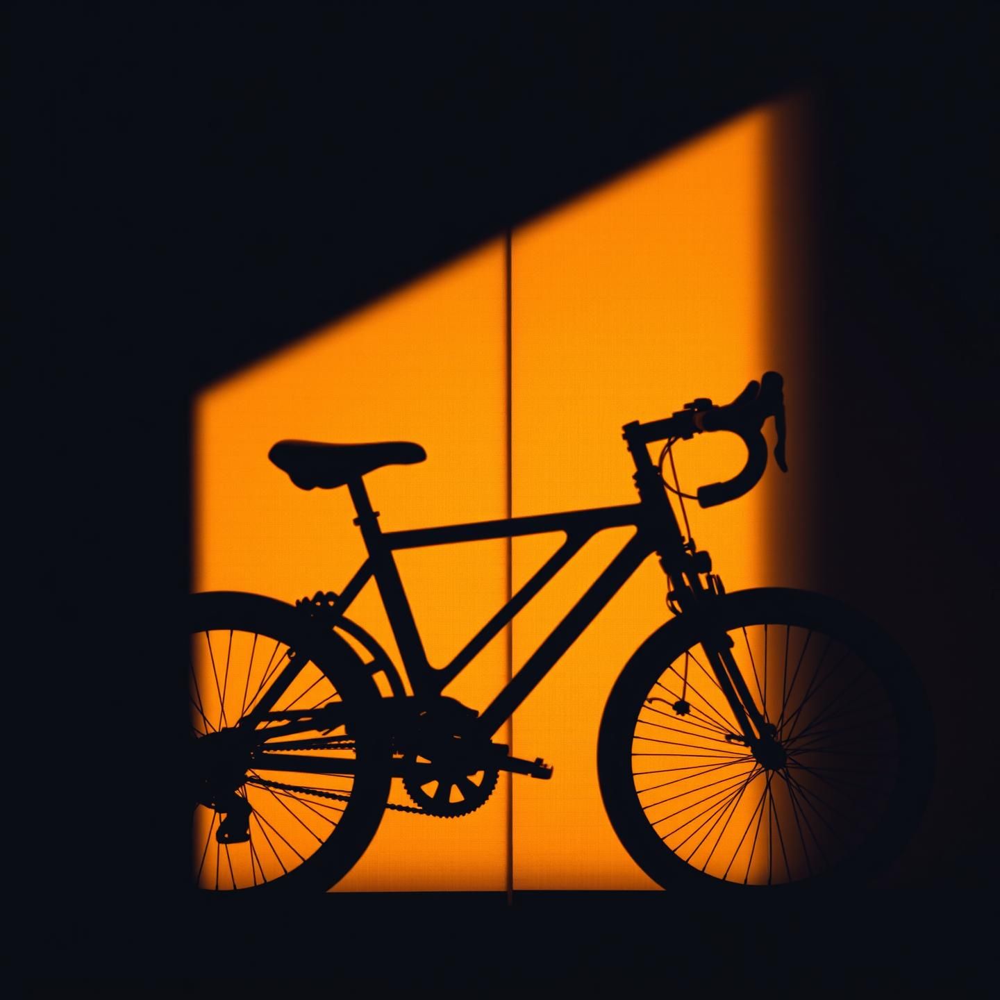 Golden Hour Bicycle Shadow on Shoji Screen: Serene, Graphic Art in Umber | Unfold Lens