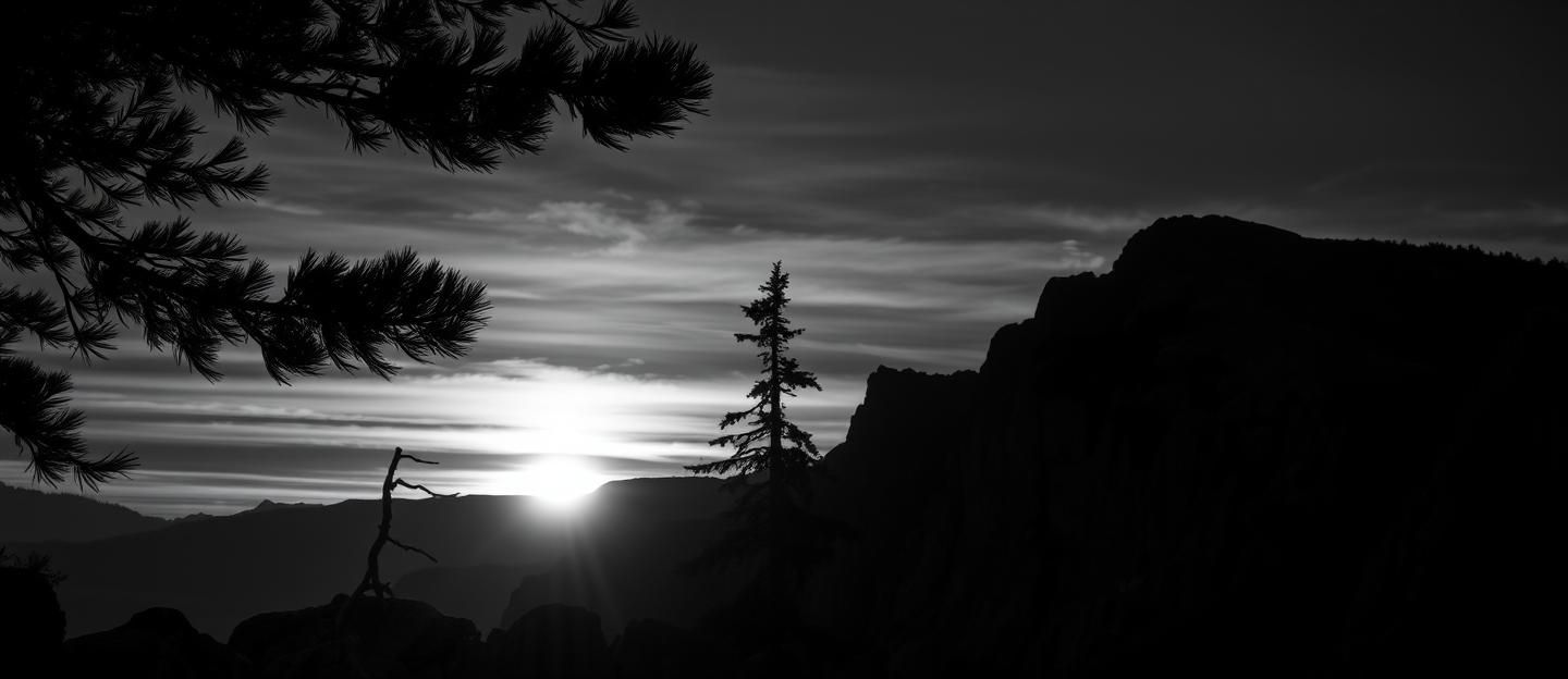 Resilient Pine Sunset Silhouette, Banff: Inspiring Canadian Rockies Landscape
 | Unfold Lens